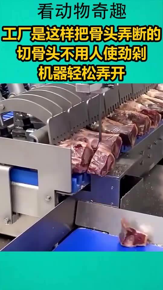 工厂是这样把骨头弄断的,切骨头不用人使劲剁,机器轻松弄开
